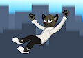 Fallin'