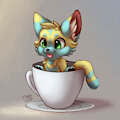 Look, the cat is in the cup *blep*