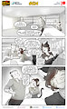 Cats N Cameras Strip 624 - Texty Text