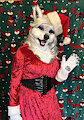 Merry Wolfmas! by SpectralWolf