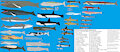 Cryptid Cetaceans Size Comparisons posters