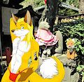 Visit the Fox Shrine :3 by JCFox