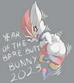 Year of the Bunny