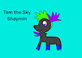 Tom the sky Shaymin