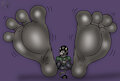 Biggest Bull soles revamp