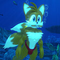 [3D] Miles "Tails" Prower underwater 7