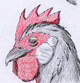 Dahg the rooster by DatuKampilan