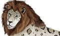 Lion Recolour - Snowliopard