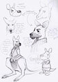 Walt the Kangaroo by n0rthp34r