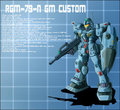 RGM-79-N GM Custom Profile