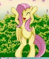 Fluttershy Dancing