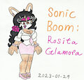Sonic Boom: Rosita Glamora
