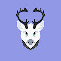 Bou Icon