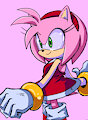 Sonic and Amy by randomguy999