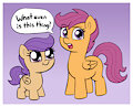 Scootaloo meets "Aloo"