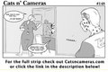 Cats n Cameras Strip 148 - Is our secret