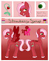 Strawberry Sorbet Reference Sheet