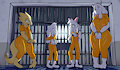 Furry Prison 61 By jarethnerl