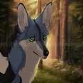 Commission - Forest Light by LostWolfSpirit
