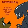 Dawgrule #3