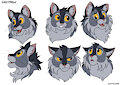 [Warriors] Greypaw Expressions Sheet