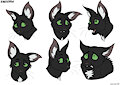 [Warriors] Ravenpaw Expressions Sheet by noktivus