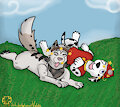 Talk about Speed 'Bump' x3