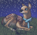 Yule Fawn