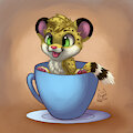 A cheetah is in the cup, what will you do?
