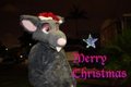 Ziggy the Christmas Rat wishes you Merry Christmas