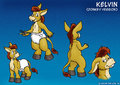 Kelvin as a donkey