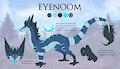 Eyenoom Reference Sheet - Dragon Version