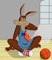 Basketball coyote