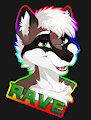 Rave Raccoon Badge