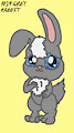 LPS 14 Grey Rabbit my style