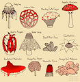 Mushrooms by AngieImagines