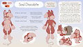 Soul Chocolate Character Reference Sheet