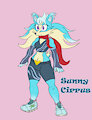 First Draft: Sunny Cirrus