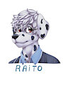 Raito - VIP Badge