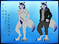 Ref Sheet for Archfox by ArkZil