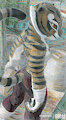 Master Tigress' Morning Session - or: She's probably more...