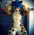 My fursuit - AcerPaws the King Cheetah! by AcerPaws