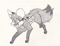 Tactical Fox