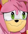 Amy Rose Stocked by thedarkdrawer654321