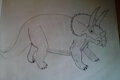 Triceratops