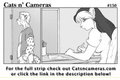 Cats n Cameras Strip 150 - Up to something