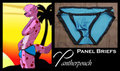 PantherPouch - Panel Briefs Auction