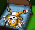 Tails Bed Trap