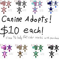 Canine Adopts