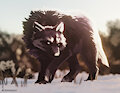 Snow wolf by WerewolfDegenerate